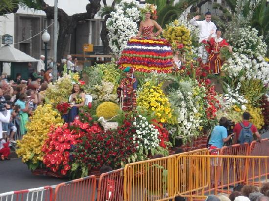 Madeira Festival Flower