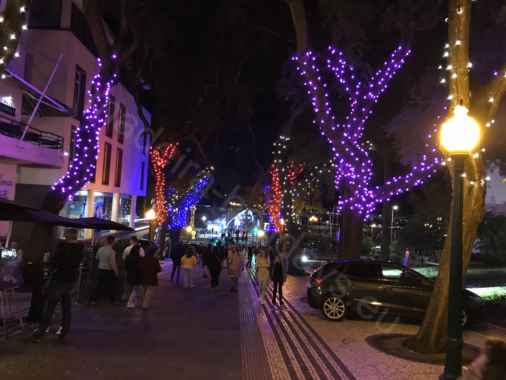 Madeira Christmas Lights 2022