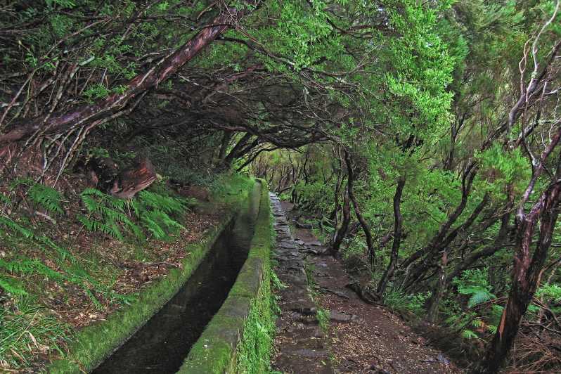 Hiking in Madeira, Rabaçal - Levada do Risco - Levada 25 Fontes 1