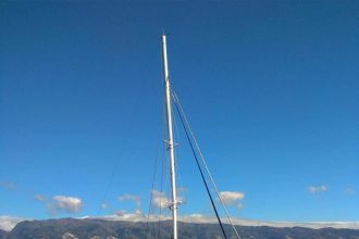 Madeira catamaran Sea Born - See dolphins