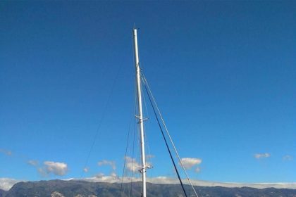 Madeira catamaran Sea Born - See dolphins