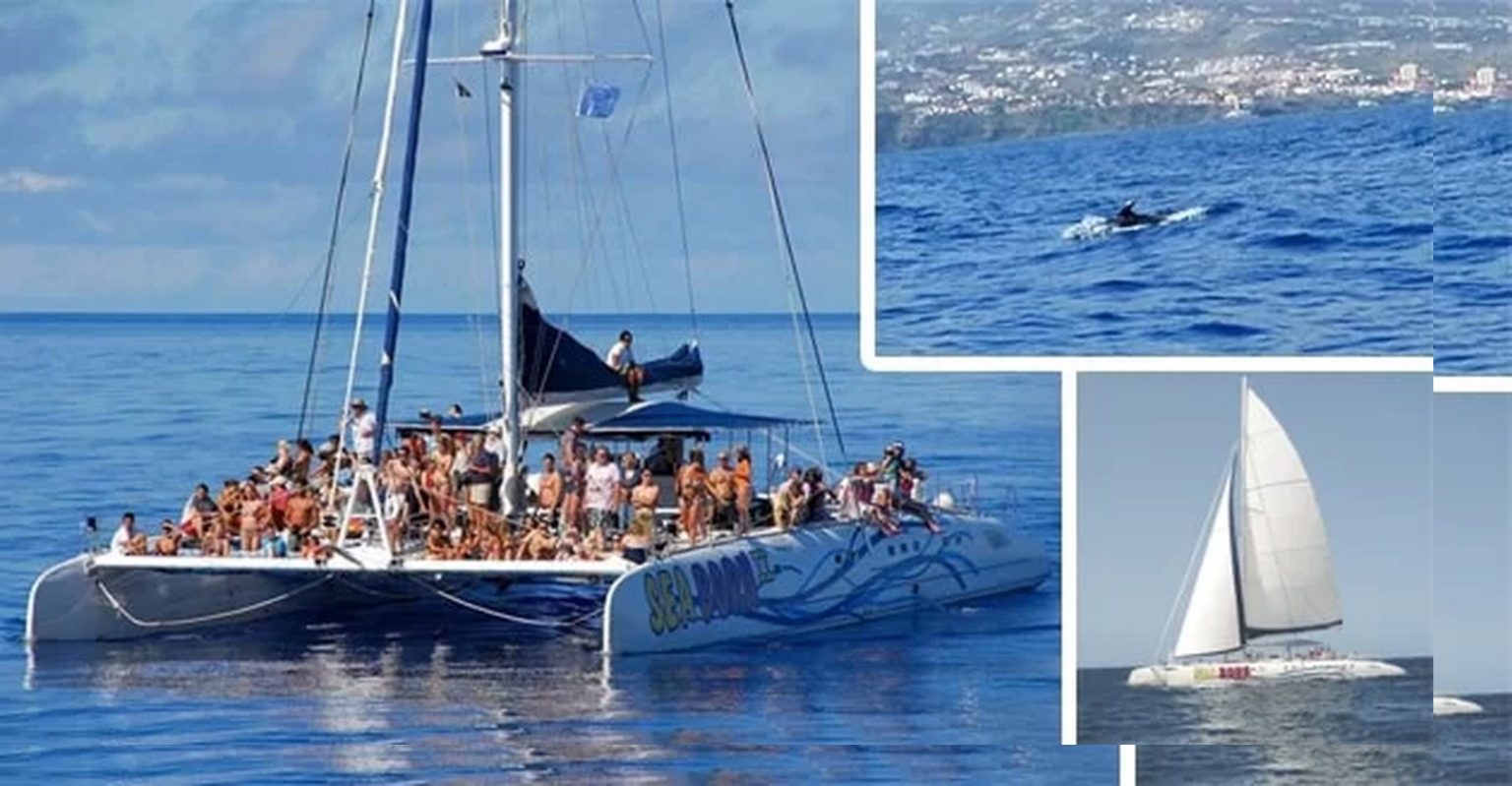 "Month of the Sea - Challenges and Opportunities for the Sea Madeira"