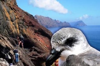 Freira da Madeira Center