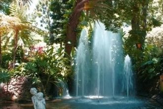 Funchal Municipal Garden