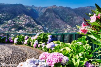 Pico dos Barcelos wins new image