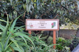 Pedagogical Quinta dos Prazeres