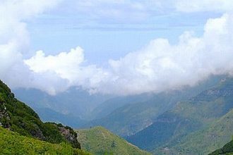 8 Things To Do in Madeira