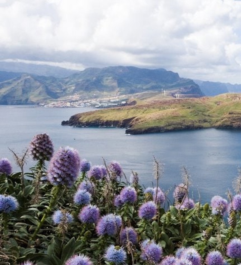 Wonderful Madeira Island 8