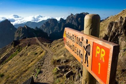 madeira tours