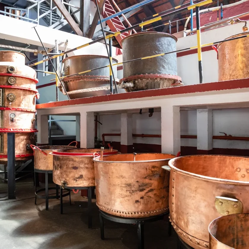 Brandy Madeira with Engenhos do Norte Company in Products Engenhos do Norte