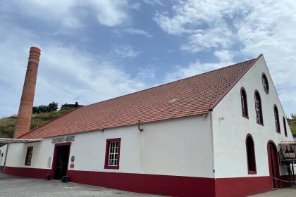 Brandy Madeira with Engenhos do Norte Company