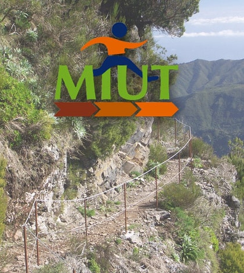 Madeira Island Ultra Trail - 749 athletes from 24 countries 1