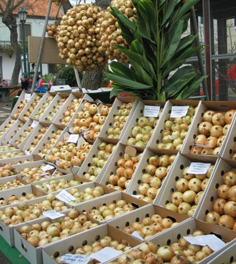 Madeira Onion Festival 2014