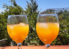 Poncha is the traditional drink of Madeira
