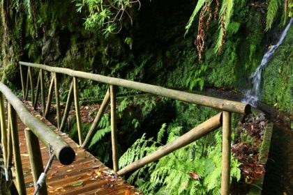 Levada dos Cedros