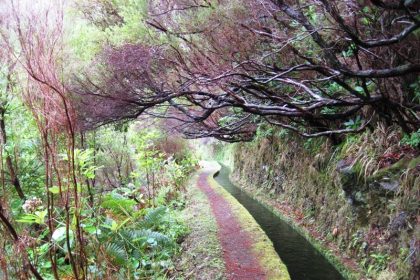Levada da Rocha Vermelha