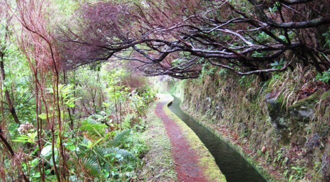 Levada da Rocha Vermelha