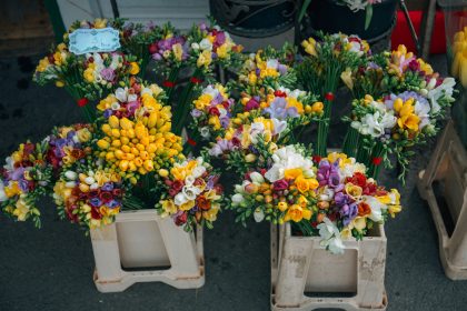 Madeira's Exotic Flower Industry: Trends & International Markets
