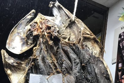 Gaiado: Exploring Madeira’s Unique Culinary Delight