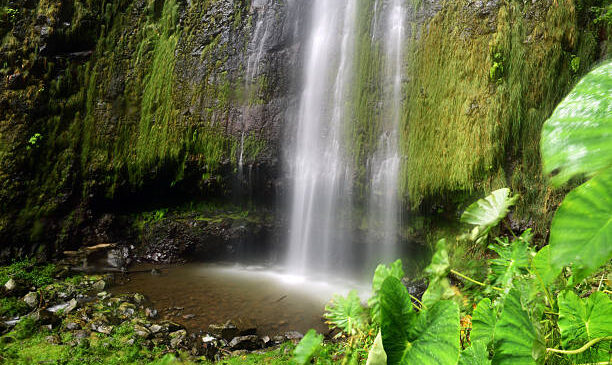 The Best Waterfalls in Madeira: Complete Guide with Tips and Trails