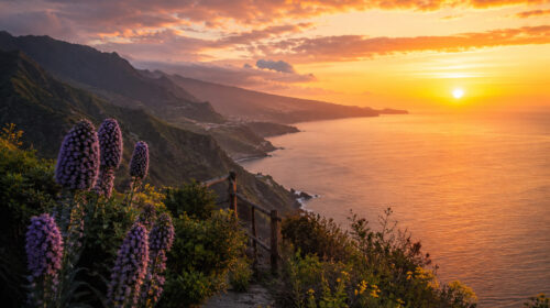 Sunrise at Pico do Arieiro: The Spectacle Above the Clouds in Madeira